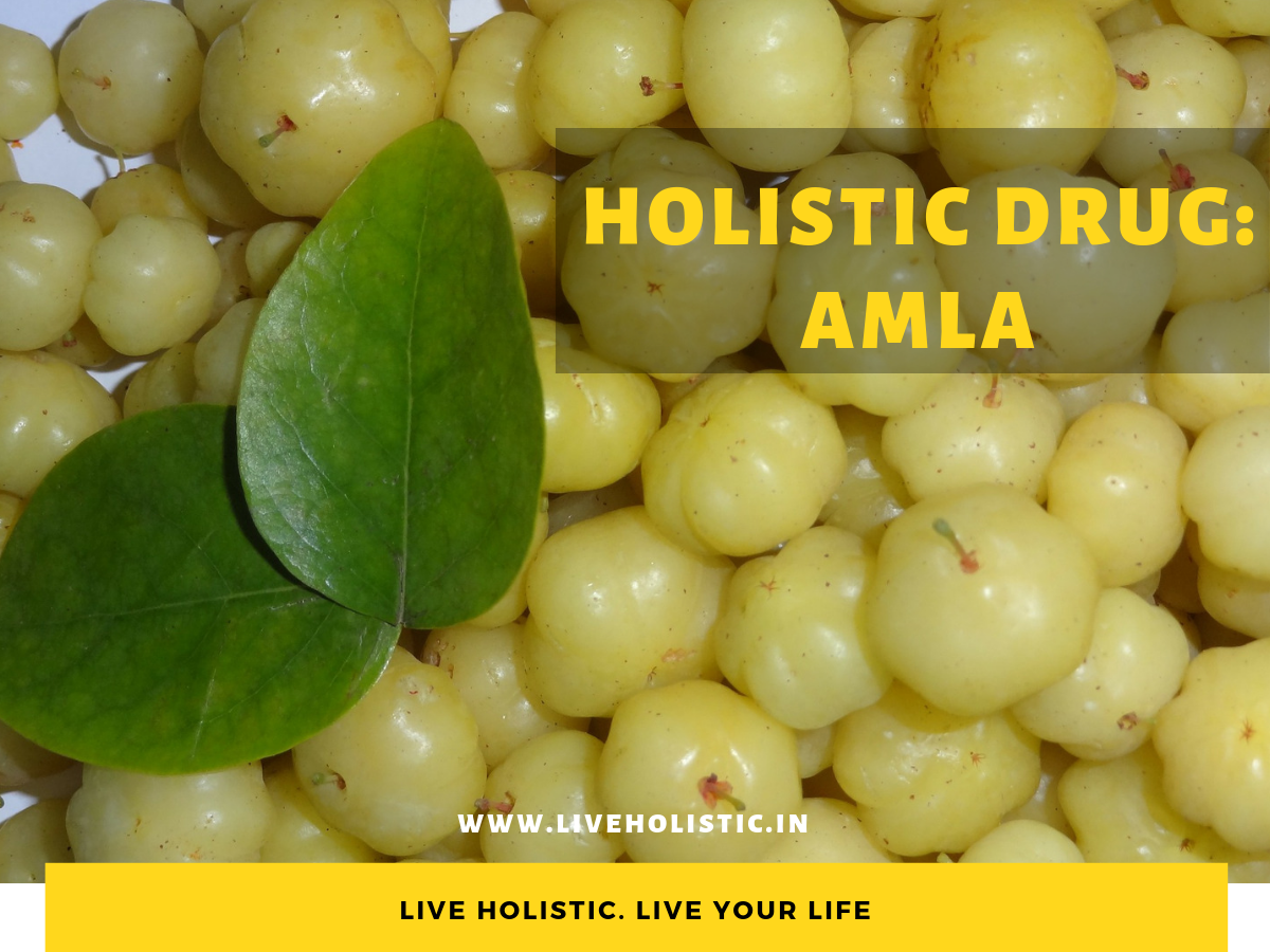 Holistic Drug : Amla